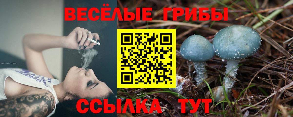 Псилоцибиновые грибы Psilocybine cubensis Артёмовский